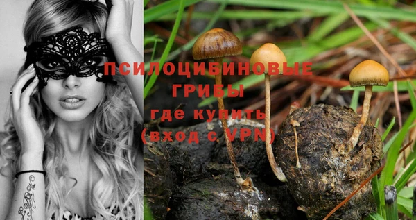 соль ск Переславль-Залесский
