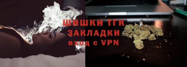 PSILOCYBIN Армянск