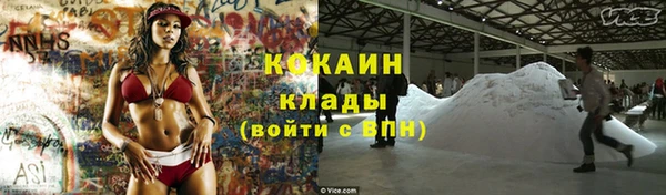 PSILOCYBIN Армянск