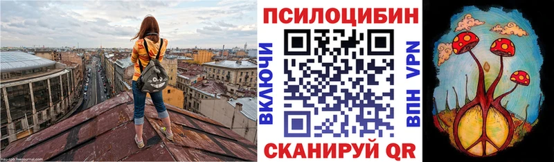Галлюциногенные грибы Psilocybine cubensis  Суровикино 
